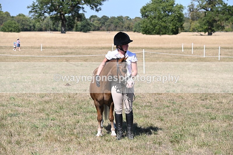 WJ6_9394 - Class 40 Cheekiest Pony/Horse