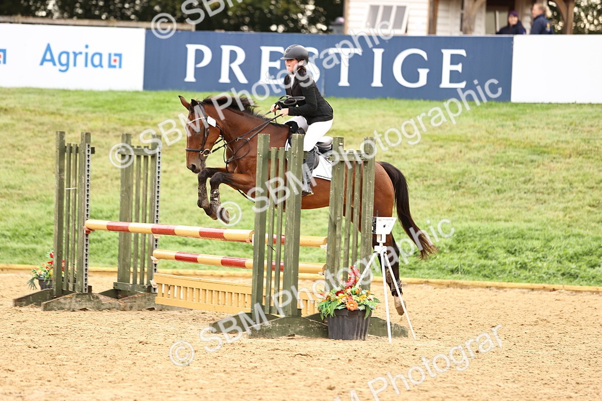 SBM_58313 - J41 - Grand Tour Horse & Pony 95cm