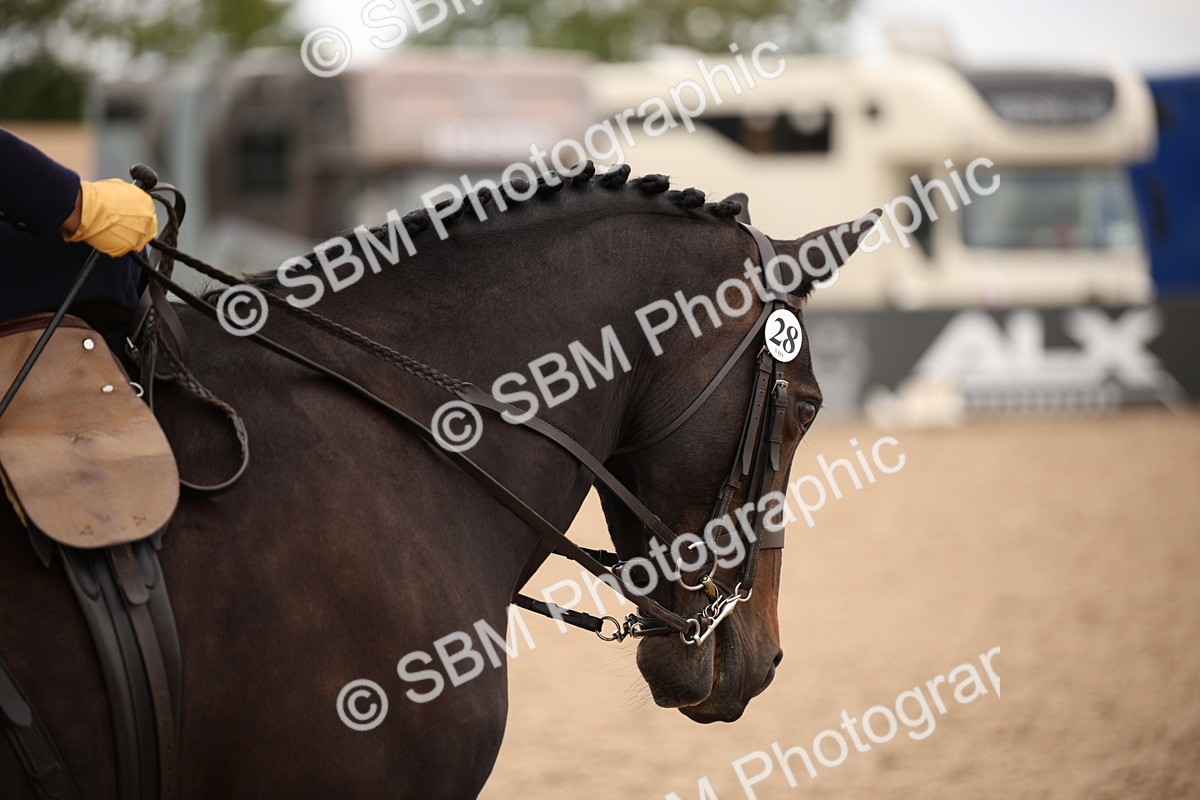 SBM_05449 - Class 22 SSA Equitation