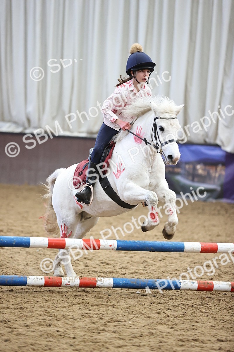 SBM_001422 - Class 3 - Horse & Hound 60cm