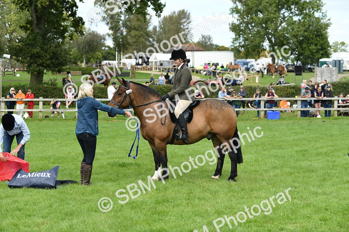 SBM_46858 - S12 - Family Horse & Pony