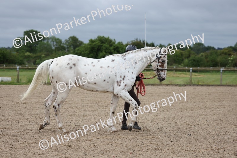 20250524-0113 - Class 2 - Youngstock