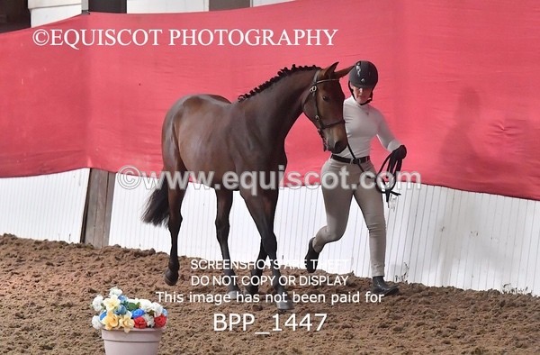 BPP_1447 - MORNING 9AM - 12PM