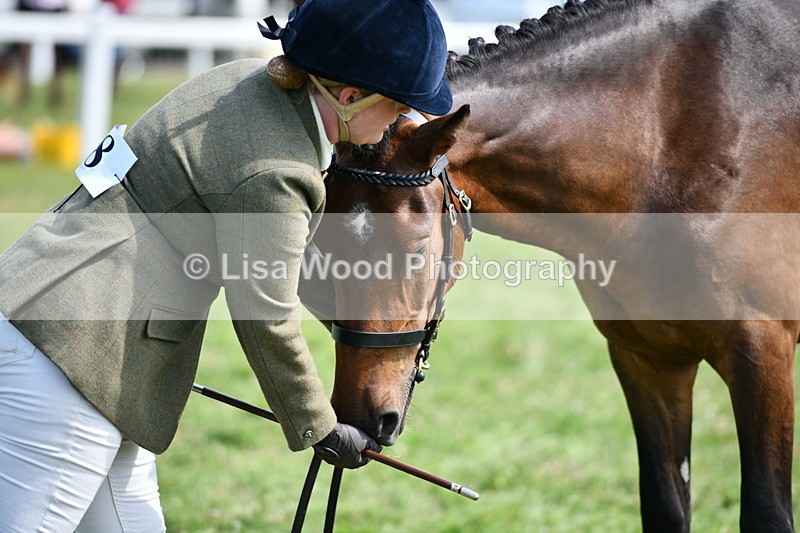 DSC_8376 - Class 68: Part Bred In Hand M & M