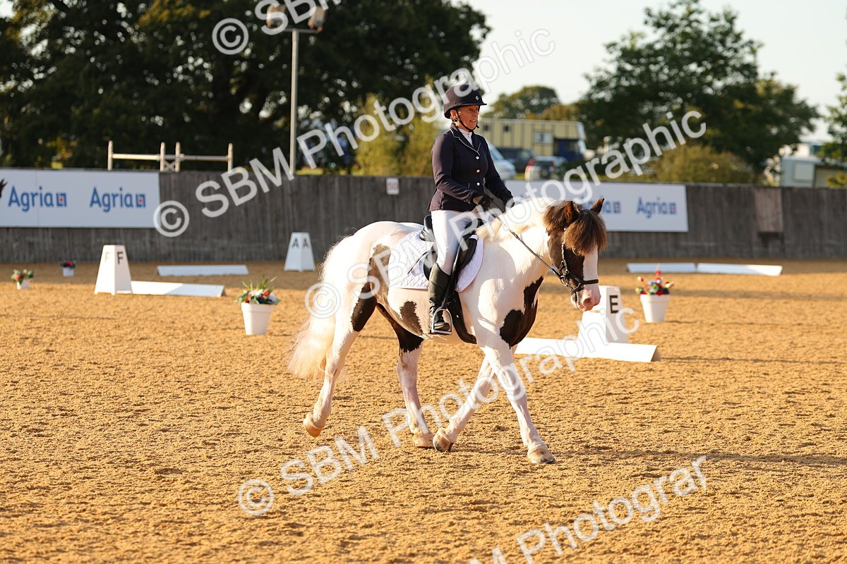 SBM_54544 - D12 - Small Tour Championship - Prelim 18