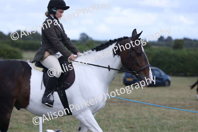 20250831-4198 - Class 20 - Ridden Coloured