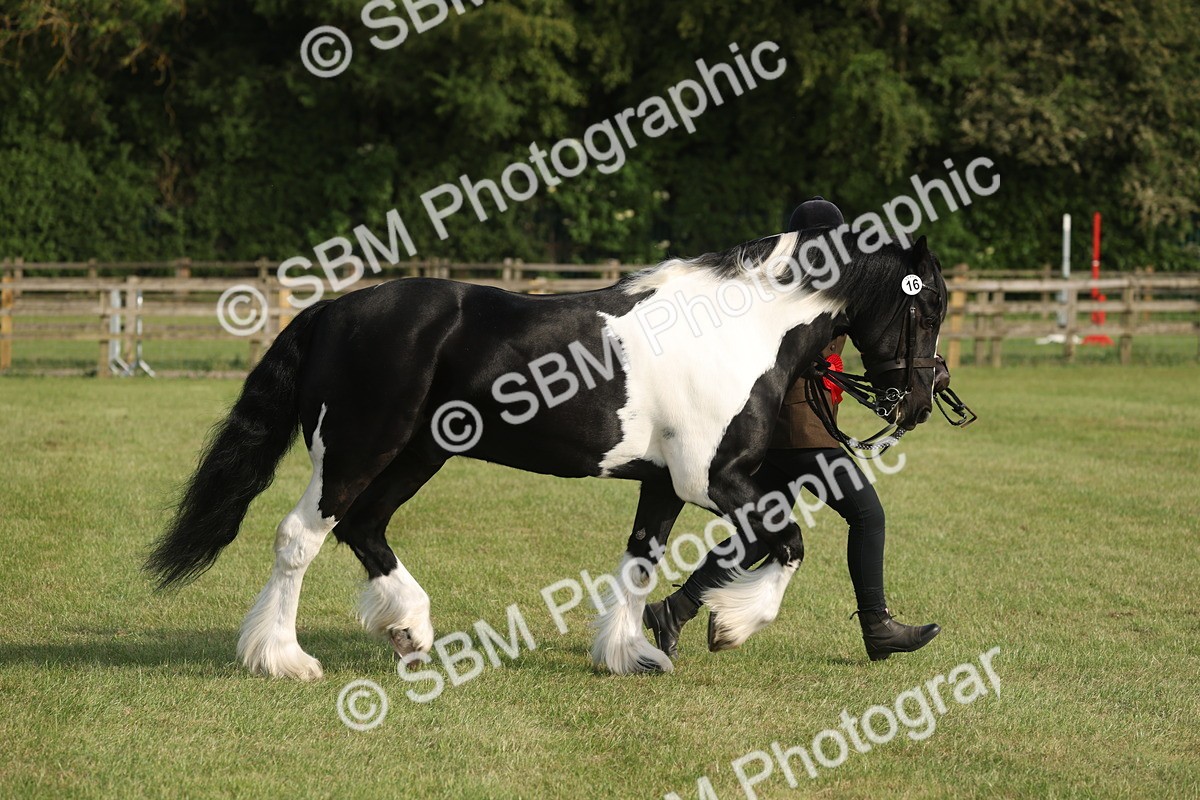 SBM_10578 - Class 33-38 - SSADL RIHS Qualifiers