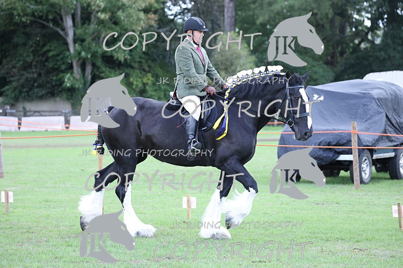 APP_3620 - Class 8 Ridden Class