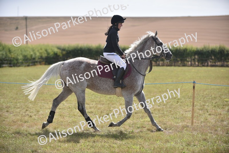 20260906-2701 - Class 13 - Working Hunter Horse or Pony