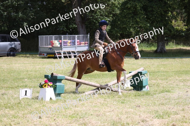 20260614-1925 - Class 21 - Novice Working Hunter Pony