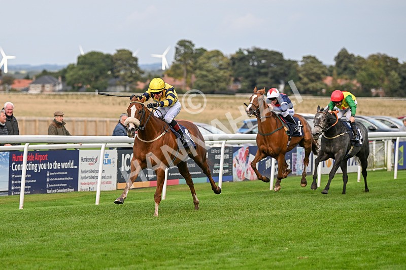 240924-Race 6-Captain Corelli-6692 - Race 6