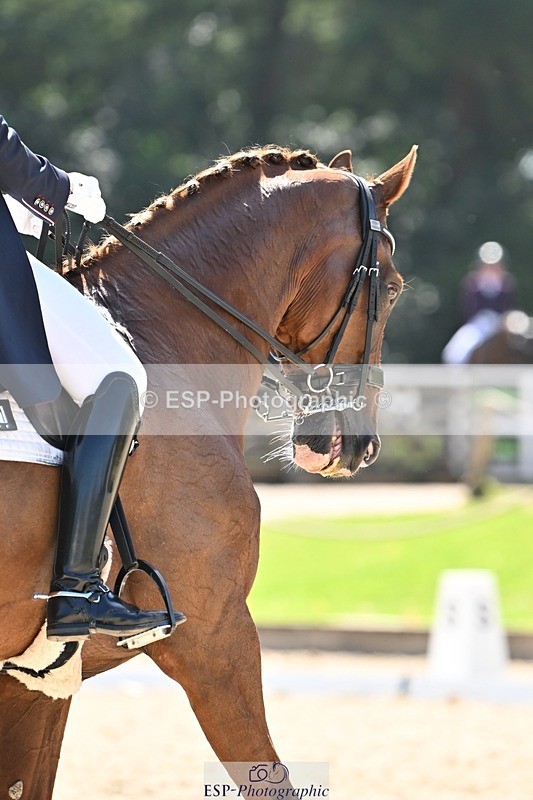 240811-145152-06452 - 121-Debbie.Cole-Dancer.III