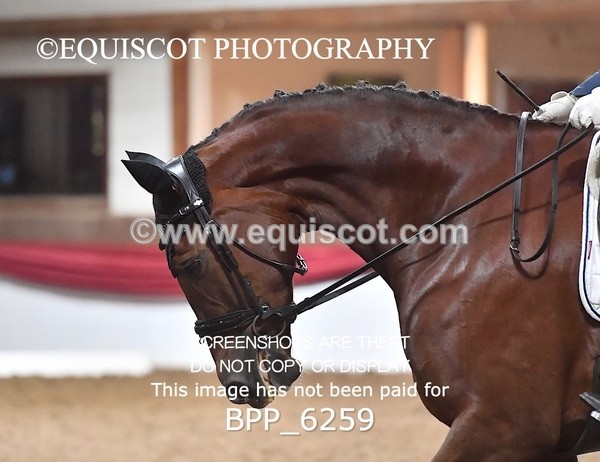 BPP_6259 - 20 Savanna Boyd