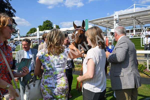 160623-Race 5-Harvanna-0321 - Race 5 4.10pm Juddmonte British EBF Fillies' Restricted Novice Stakes