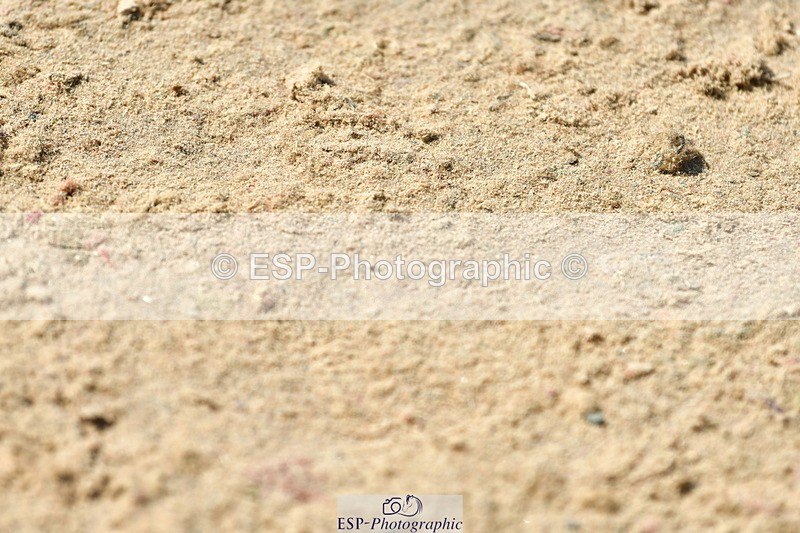 230723A-155152-13541 - Cls 36, 7 Yr Olds 1.30m