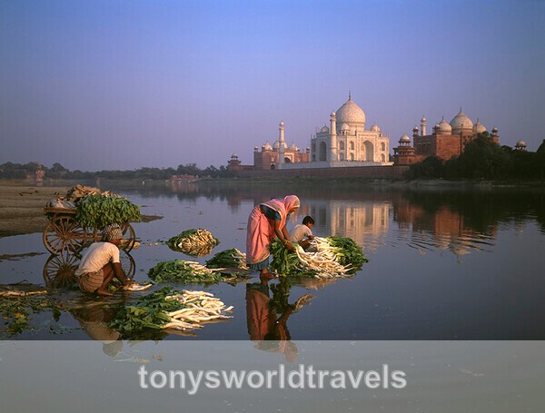 Family cleaning vegetables at Taj Mahal,  Agra, India - India