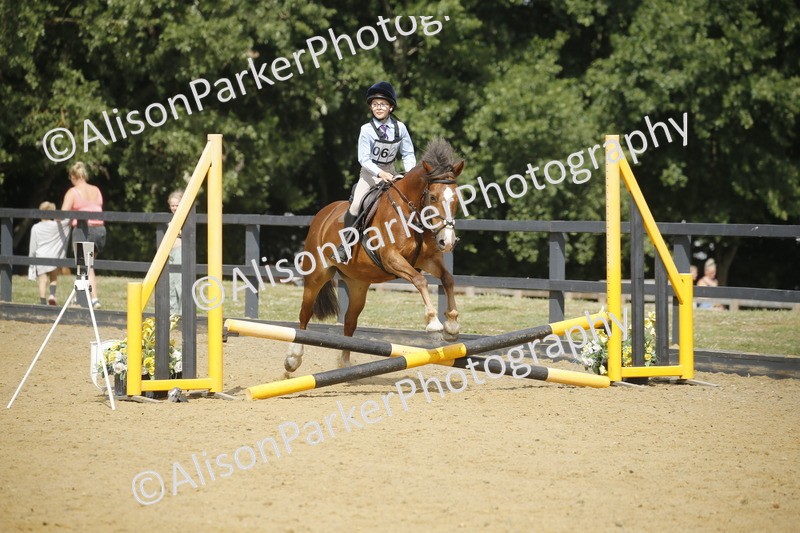 20250622-3828 - 50cm