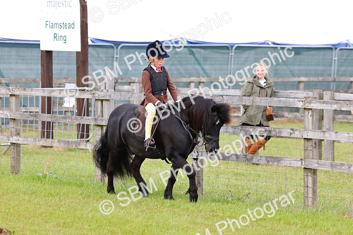 SBM_08489 - Class 42-43 - LIHS BSPS Heritage Working Sports Pony