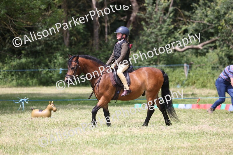 20260614-2132 - Class 21 - Novice Working Hunter Pony