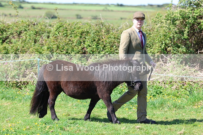 3E7A9325 - Class 16: Best Grass Kept