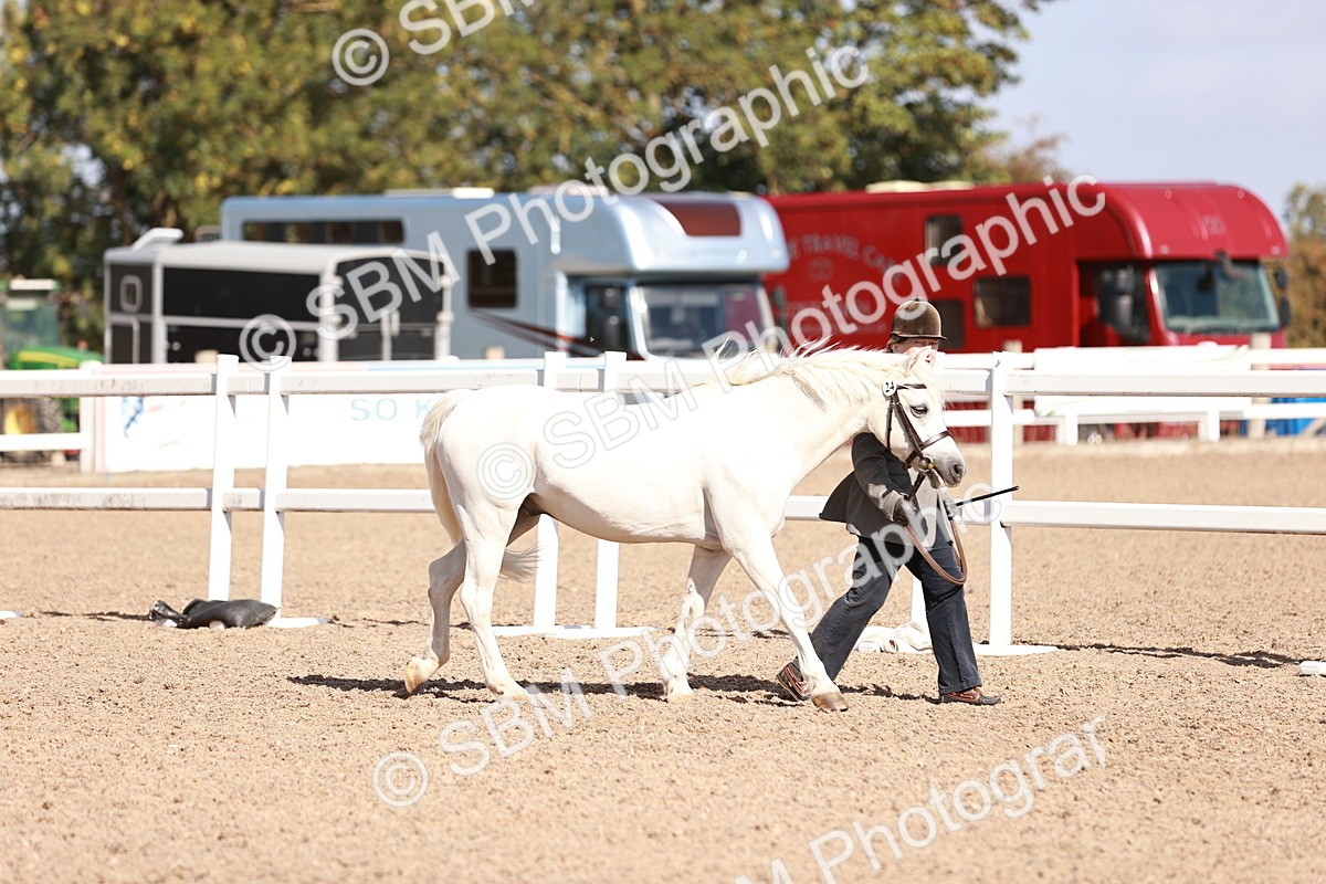 SBM_22798 - Class 705 - IH Combination 65+