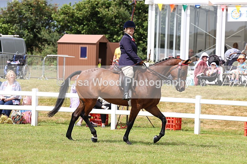 3E7A0870 - Class 8: Open Riding Horse/Hack