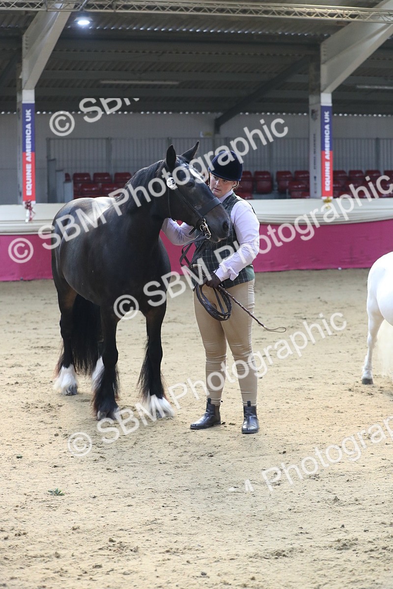 SBM_00571 - class 2a Area IH Veteran