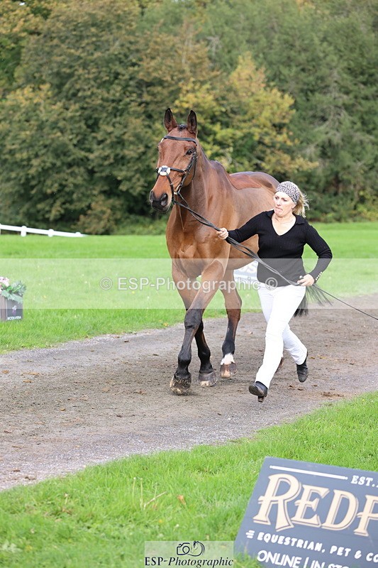 251026A-114907-25701 - G-514-Carolyn.Price With Trot Up