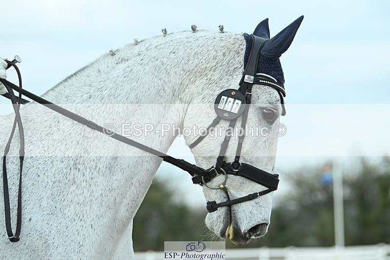 250403-090433-00521 - 052-Elizabeth.Allen-Freestyle.R