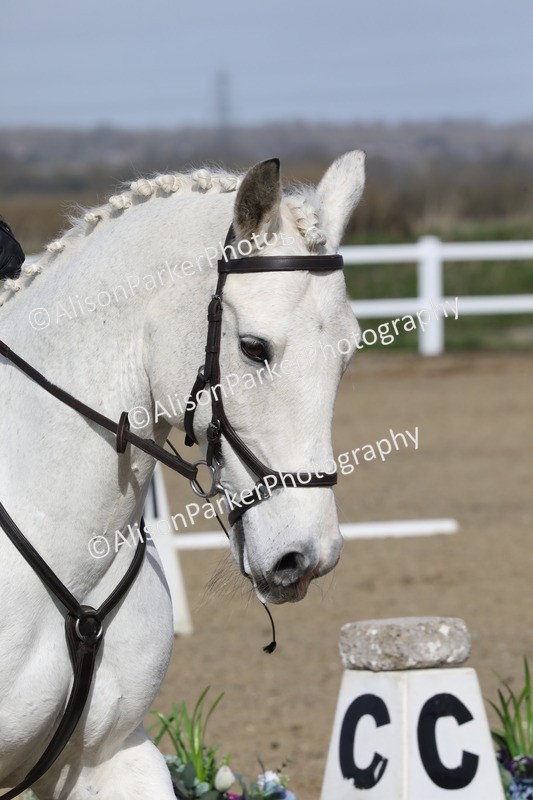 20260314-1762 - CT2 - Prelim 1