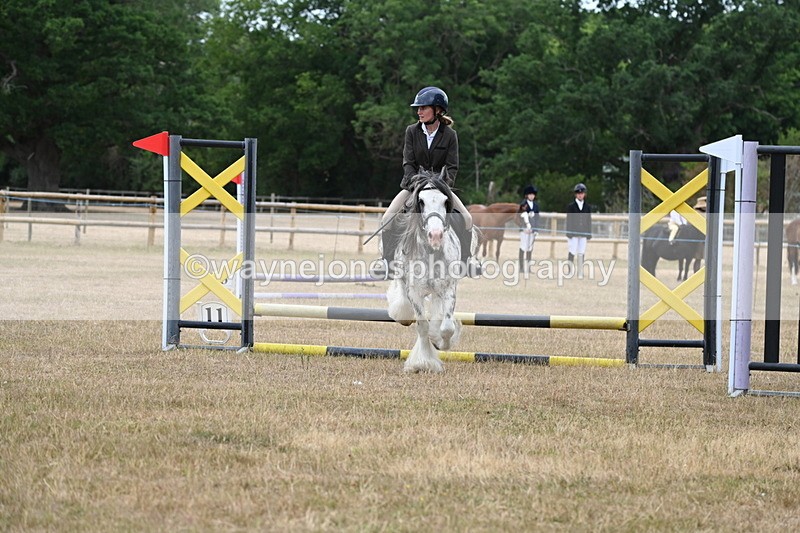 WJ6_9657 - Class 12 Minimus Jumping 45cm