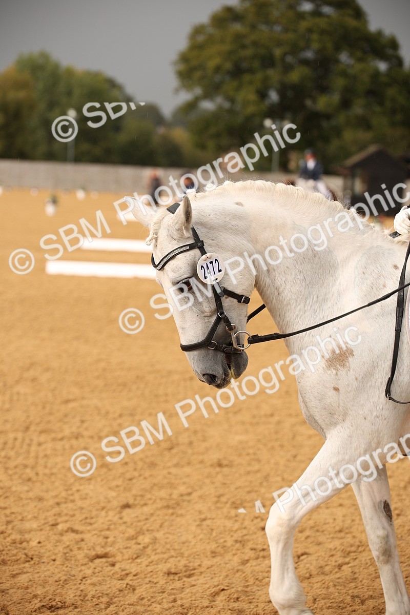 SBM_12328 - D3 Small  Tour Championship Intro A