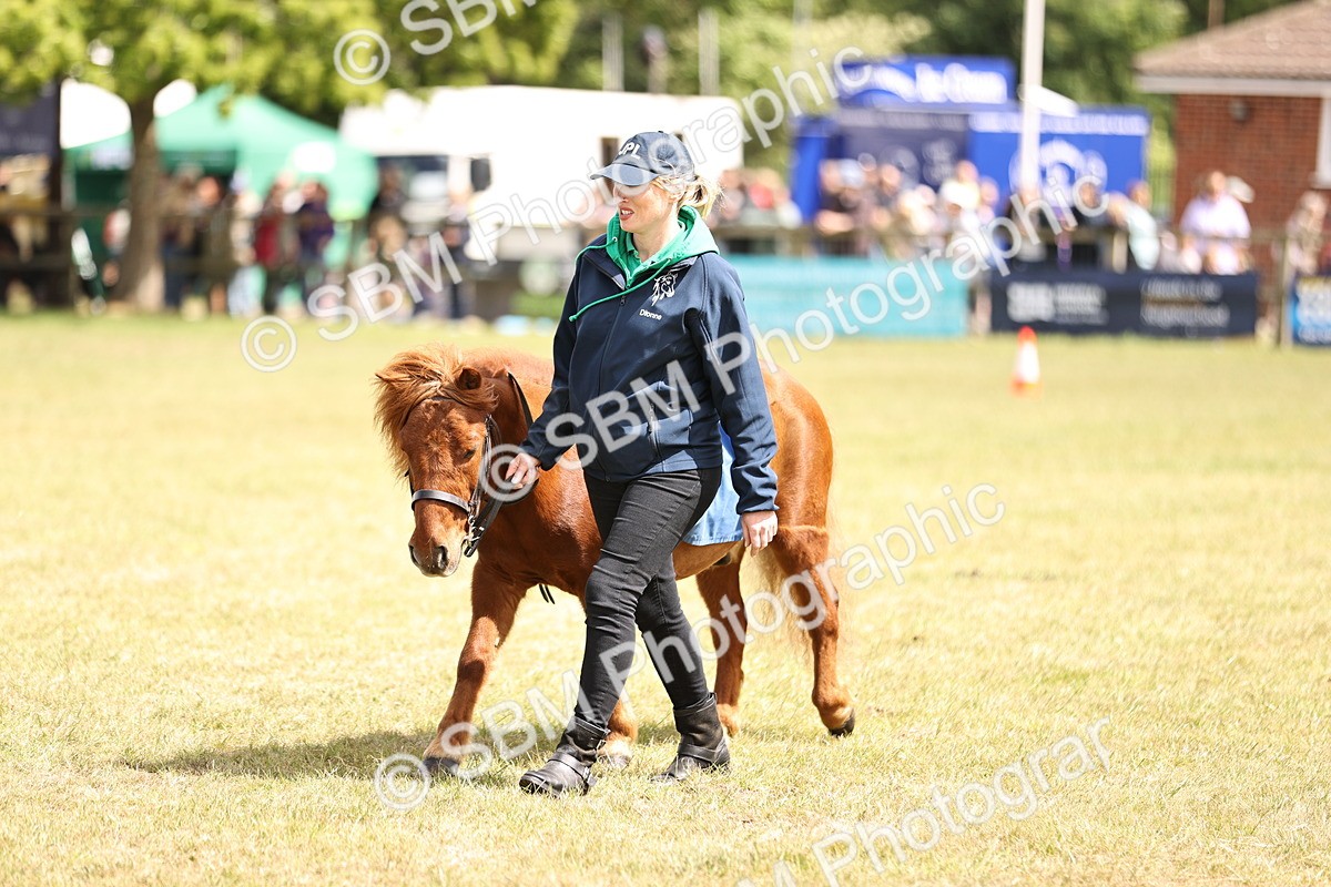 SBM_16379 - Dinky Derby