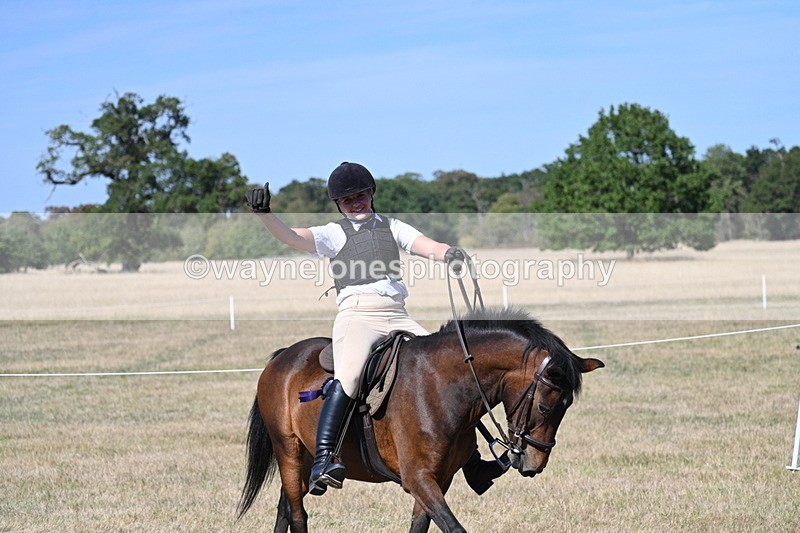 WJ7_1764 - Class 42 Most Handsome Gelding
