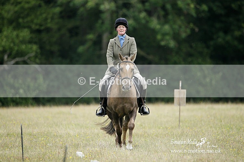 BVRC 030721 348 - Bourne Valley Riding Club Dressage 03/07/21