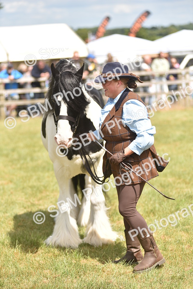 SBM_16067 - Class 117-122 - SSADL RIHS Qualifier