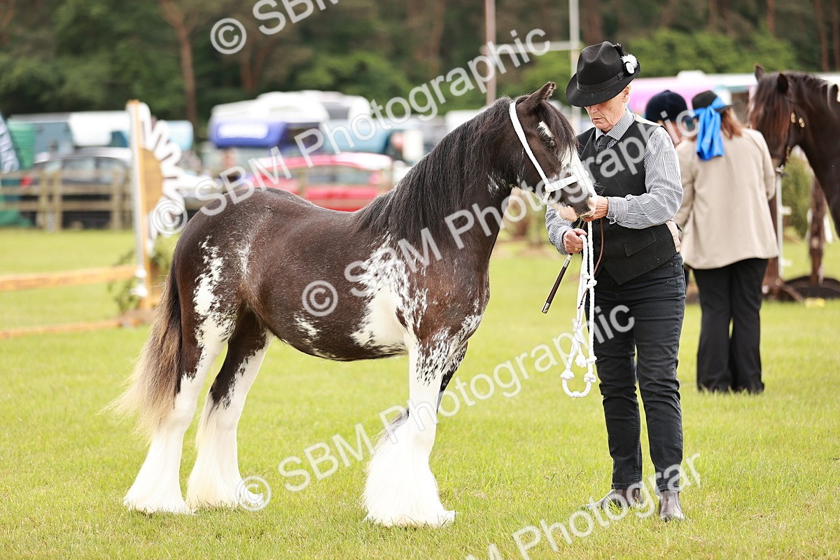 SBM_05969 - Class 39-41 TGCA In Hand and Ridden
