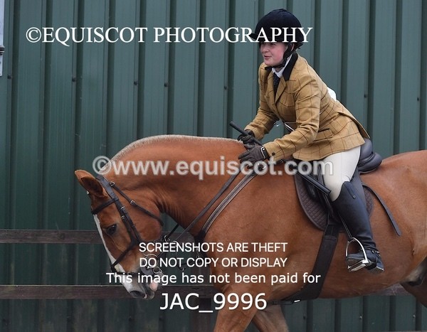 JAC_9996 - CLASS 3 Intermediate Working Hunter (0.70m - 0.85m)