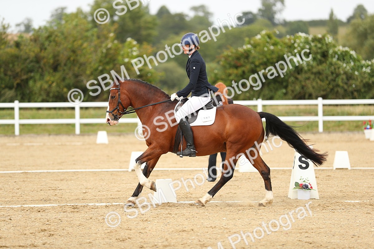 SBM_017648 - Class 13 - Novice 23 - 14.27-15.16