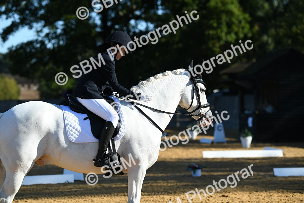 SBM_16136 - D4 - Small Tour Championship - Intro B
