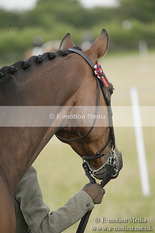 B230619-0194 - Bourne Valley Riding Club Summer Show 23/06/19