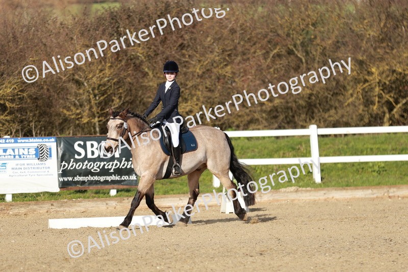 20260314-5372 - DR4 - Prelim 2