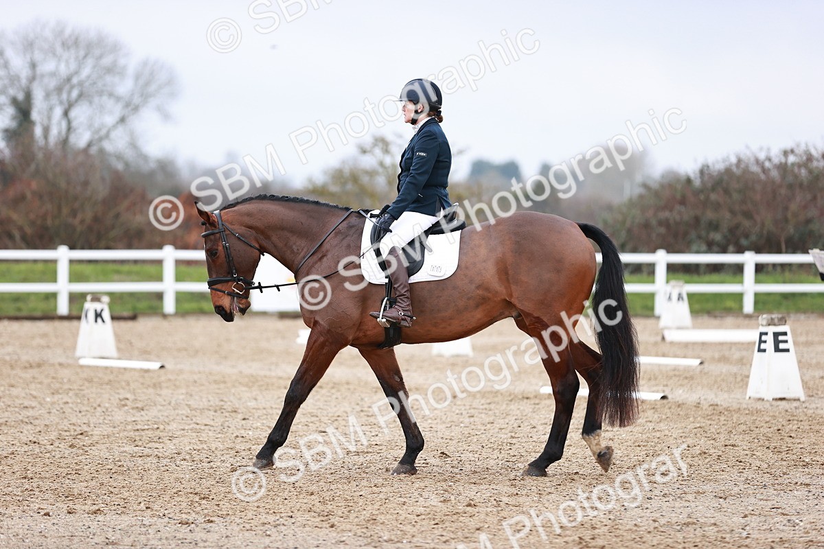 SBM_005370 - Elementary 1