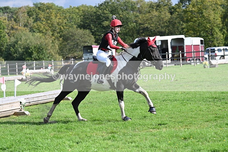 WJ7_4884 - 60cm Time 11:11 to 11:19