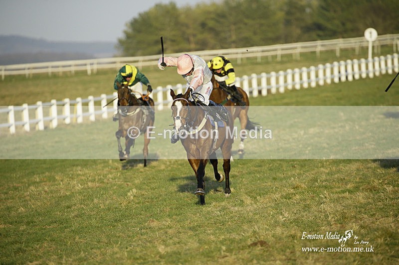 PtP 270222 698 - South & West Wilts Point-to-Point Larkhill 27/02/22