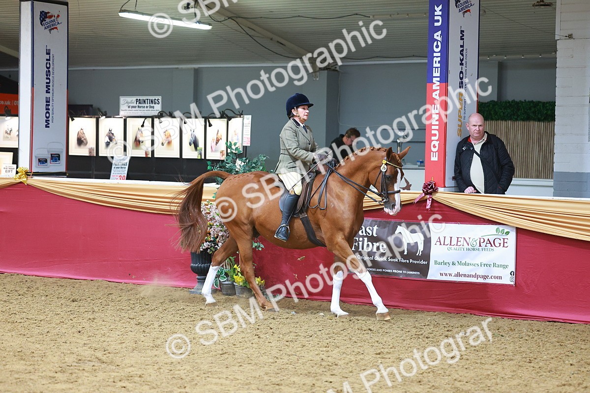 SBM_06009 - Class 12R - Ridden Pre-Vet