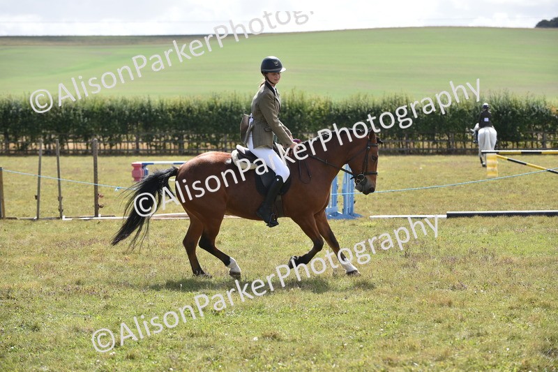 20250831-4056 - Class 13 - Working Hunter Horse or Pony