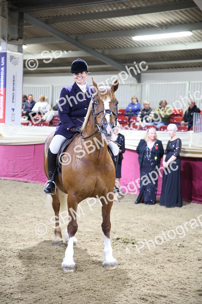 5K7A1593 - Class Q Style & Performance Champ