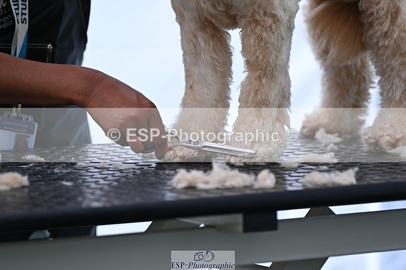 240525-114905-12635 - Candid and Saturday Hobby Horse