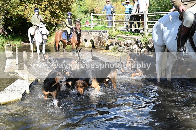 WJ7_6002 - Hounds Water Crossing